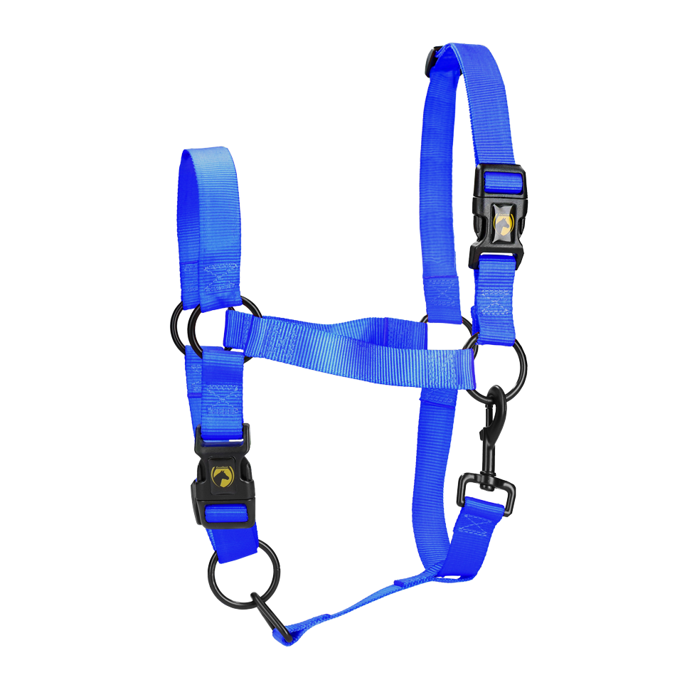 Excellent Essential Halster Blauw S