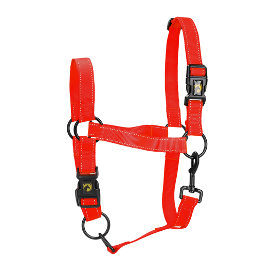 Excellent Premium Halster Rood S