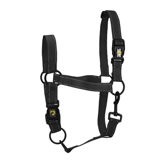 Excellent Premium Halster Zwart M