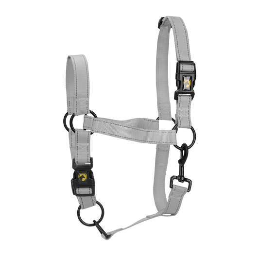 Excellent Premium Halster Grijs L