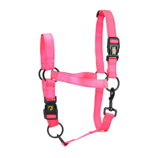 Excellent Premium Halster Roze XL
