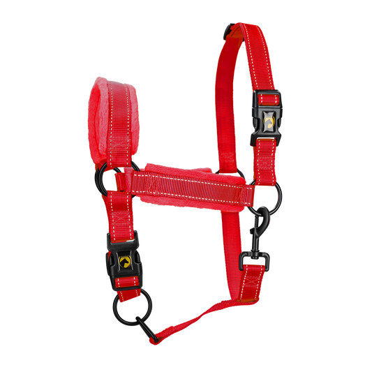 Excellent Superior Halster Rood XS