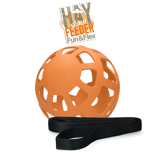 Hay Slow Feeder Fun & Flex Oranje