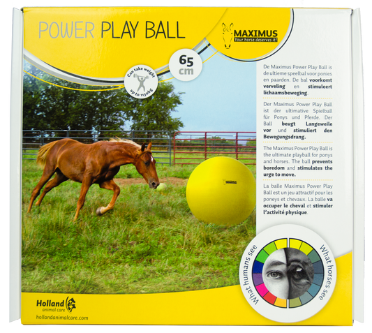 Maximus Power Play Ball 65 cm