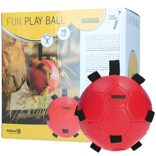 Excellent Horse Fun Play Ball Rood